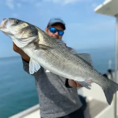 Pêche en mer
