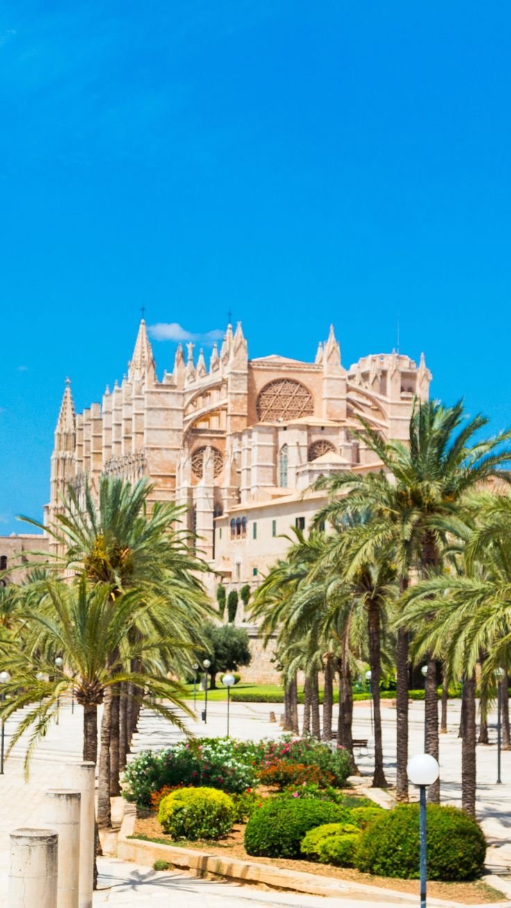 cathédrale de palma