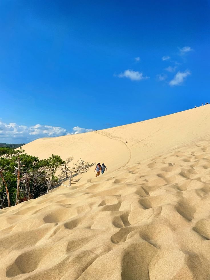 Dune du Pilat en journée 