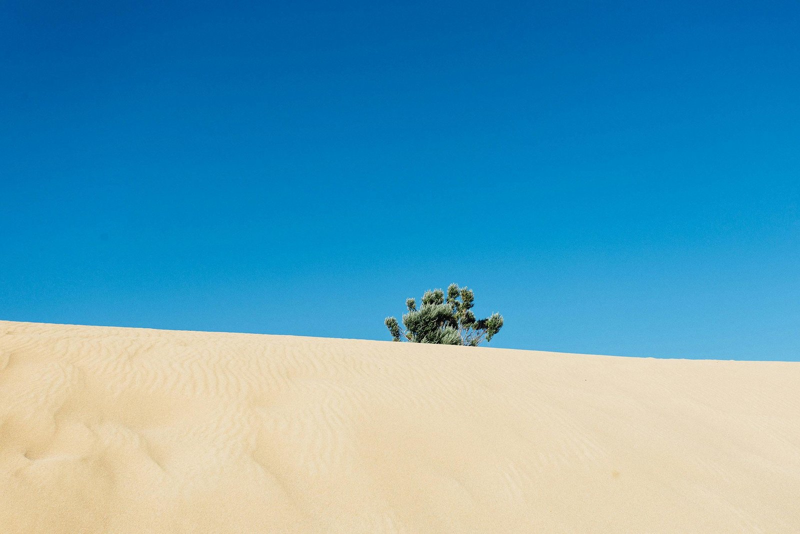 Dune du pilat en pleine journée 